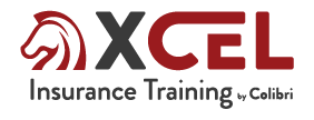 XCEL Solutions