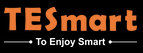 TESmart